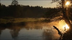 благодарю Тебя...света путь