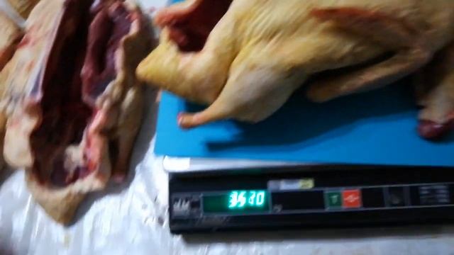 Вес тушек уток в 6 месяцев смотреть онлайн