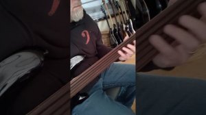 Jazzy Funky fun on a Harley Benton B-550FL Fretless Bass
