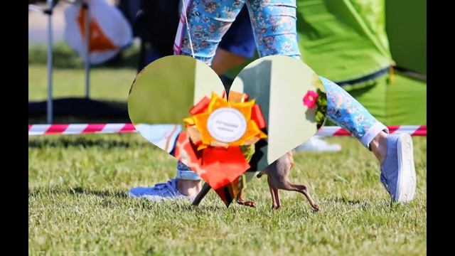 СЛАДКИЙ(Солнышко Алекси Зонтик Лиловый) смотреть онлайн