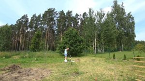 Как мы сажали гортензию Бобо. Правила посадки.