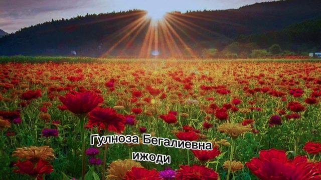 Шеър хасад #шеър