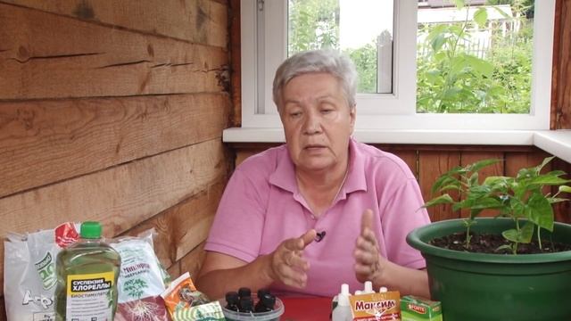 Голова садовая - Лечение и подкормка ягоды