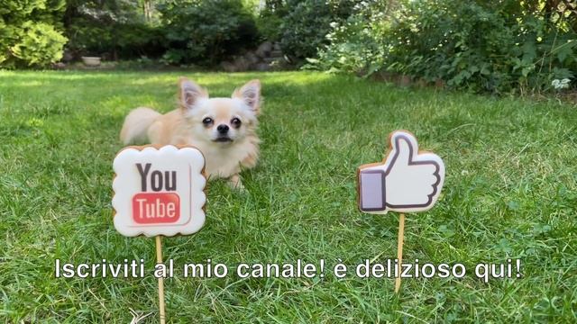 Torta in 5 minuti! Torta che fa impazzire il mondo! Cercavo questa ricetta da molto tempo