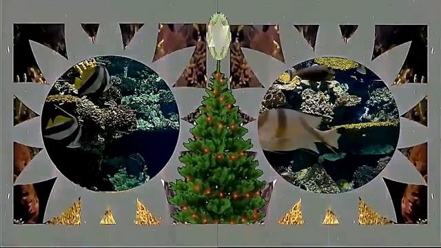 New year videos futuristic aquarium-Новогодняя заставка- футуристический аквариум смотреть онлайн