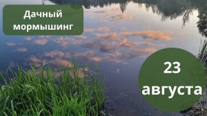 #41 #мормышинг  Осваиваю мормышинг. Выходит неплохо