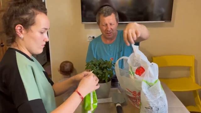 Поехали к родителям. Мастер-класс по пересадке розы. смотреть онлайн