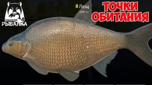 ОТЛИЧНЫЙ ФАРМ НА ЛЕЩАХ, НОВАЯ ТОЧКА НА СТАРОМ ОСТРОГЕ В РУССКОЙ РЫБАЛКЕ 4 РР4