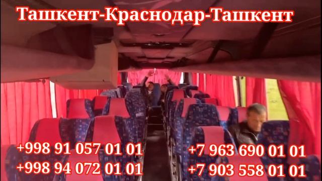 Автобус краснодар-ташкент, автобус ташкент-краснодар, автобус ташкент-новосибирск, ташкент-москва