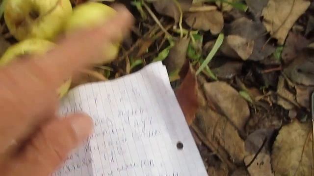 Урожай смотреть онлайн