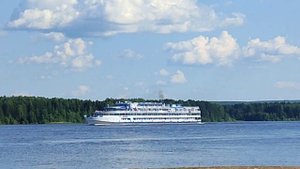 Летний день на даче/ Пермский край/ Новоильинск/ д. Сукманы