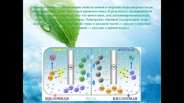 Живая и мертвая вода миф или реальность презентация