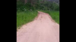 Выгул железного Пэса!;)