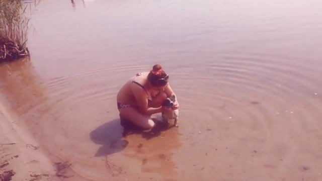 Отдых. На Днестровском лимане смотреть онлайн