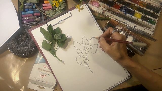Как нарисовать растение мини-урок-мастер-класс. смотреть онлайн