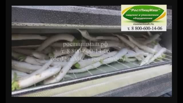 Мойка дайкона на GB-1000 смотреть онлайн