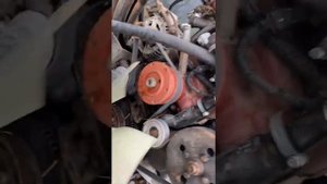 Двигатель на маз Зубренок