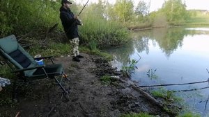 Как быстро приготовить МАСТЫРКУ НА КАРАСЯ + РЕЗУЛЬТАТ В КОНЦЕ