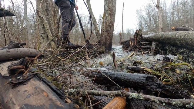 А у нас Весна! Поможем воде преодолеть Бобровую плотину. День 2. смотреть онлайн