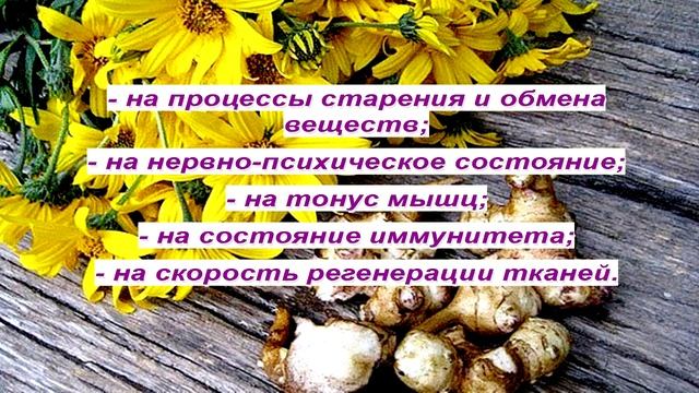 ТОПИНАМБУР – ПОСЛАННОЕ БОГОМ РАСТЕНИЕ!