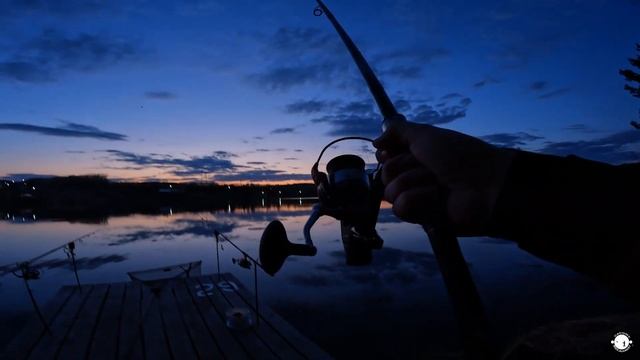 ЛОВИМ РЫБУ НА ПЛАТНИКЕ - КАК ПОЙМАТЬ МНОГО РЫБЫ смотреть онлайн