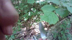 Лесной коп! Нашли наконечник копья,  средневековом селище!