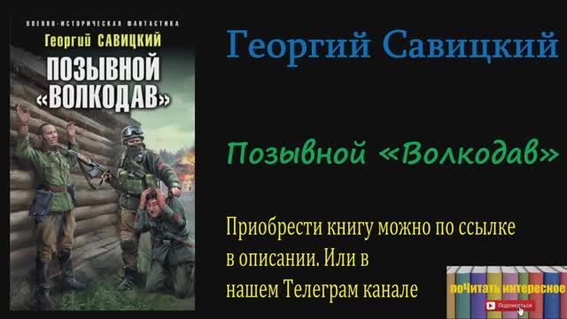 Книга: Георгий Савицкий - Позывной «Волкодав» смотреть онлайн