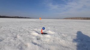 ПОСЛЕДНИЙ ЛЕД. Щука на жерлицы, бешеный клев окуня. Рыбалка в апреле со льда. Аятское водохранилище