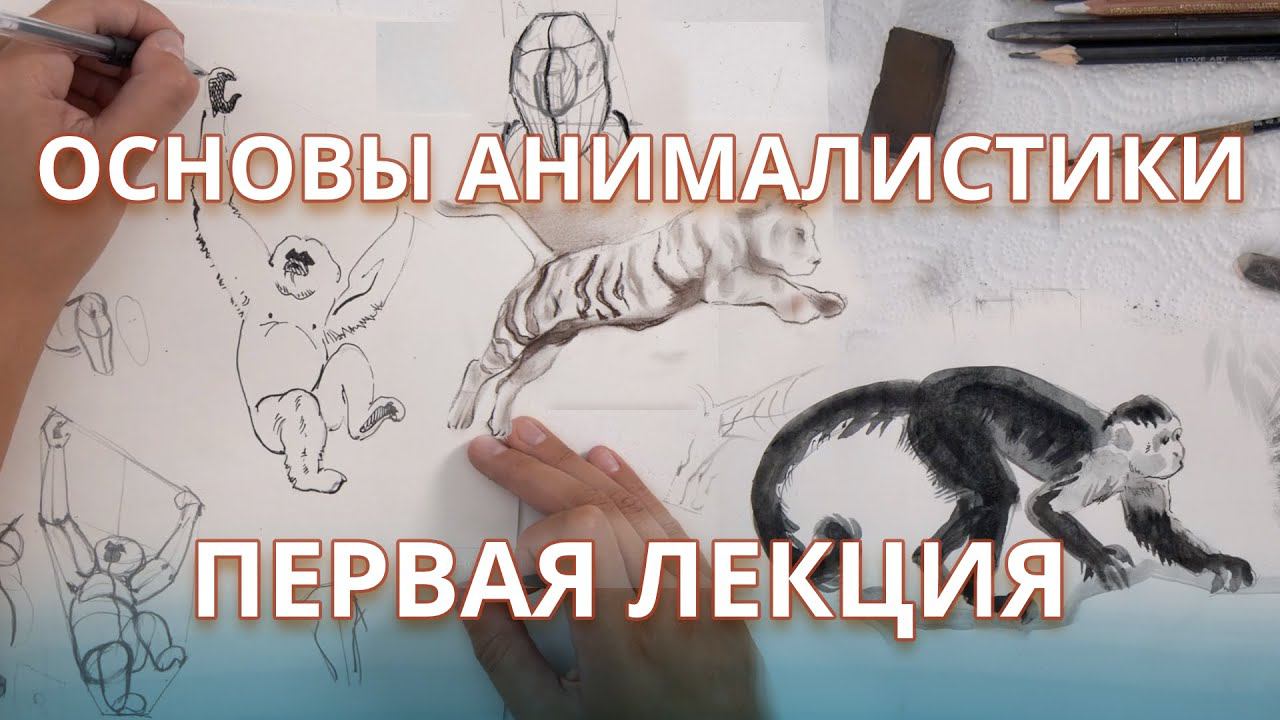 Основы анималистики для начинающих!Уроки рисования от Александры Щёголевой: