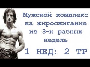 Мужской комплекс на жиросжигание из 3-х разных недель (1нед: 2тр)