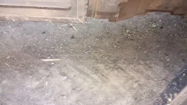 Ежедневное ТО трактора смотреть онлайн