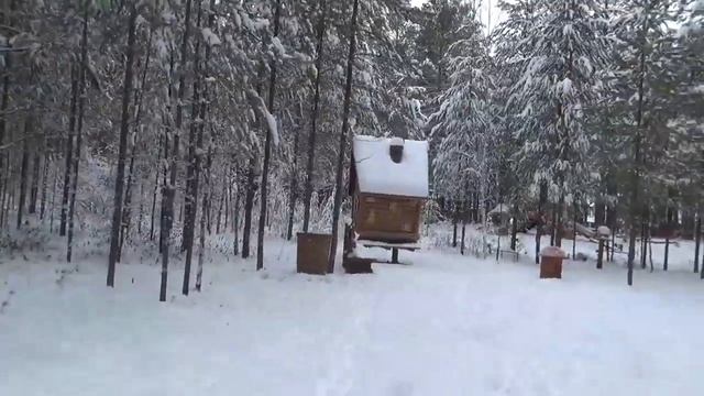 Тропа сказок Югорск 4 ноября 2021 год