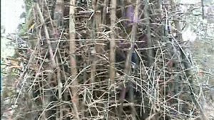 Для тур операторов