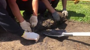 Демонтаж рулонного газона