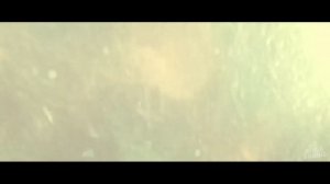 All League of Legends Cinematics (4K)