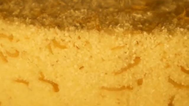 Хрущак, малый мучной таймлапс смотреть онлайн