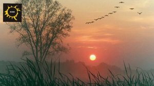 Цой. Я жду ответа. Акустика.