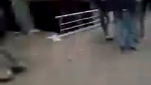 Злой кот нападает на ротвейлера!