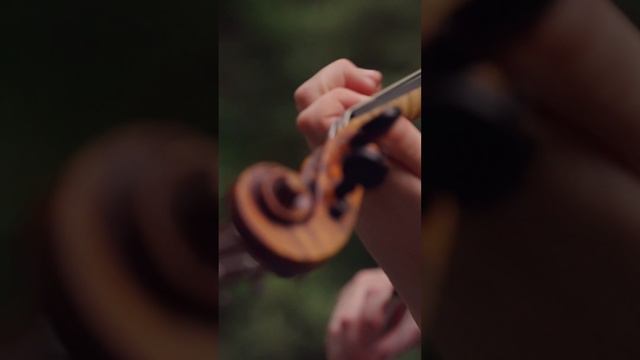 Kelsey Waldon - Very Old Barton (Laurel Cove Sessions) - Live on Pine Mountain смотреть онлайн