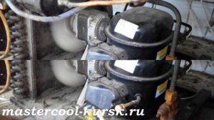 Холодильный раритет шкаф холодильный ШХ