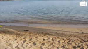 Обзор отеля Amaya Beach Passikudah 5* на Шри-Ланке (Пасикуда) от менеджера Discount Travel
