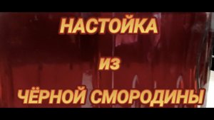 НАСТОЙКА ИЗ ЧЁРНОЙ СМОРОДИНЫ! ИДИАЛЬНЫЙ РЕЦЕПТ.