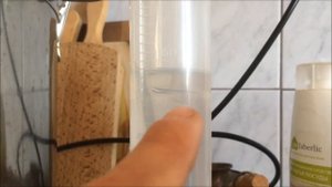 Получение эфирного масла из лаврового листа методом дистилляции.