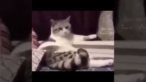 Ну ничего первым делом баньку поставлю, корову заведу!