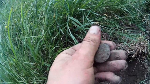 поиск монет с металлоискателем.ТАЙНА ЗАБРОШЕННОЙ ПРИСТАНИ.опять берег реки радует находками