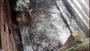 Идеальный пол в загоне для свиней/ Деревянный настил