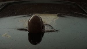 История Владимира Харконнена из вселенной “Дюны”