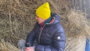 Как лечить мастит у коз. Содержание коз молочной породы.