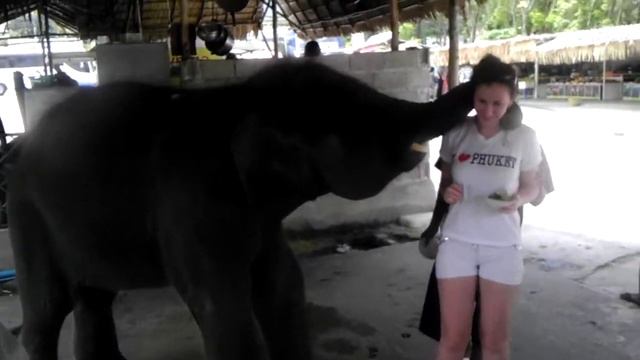 Слонёнок смотреть онлайн