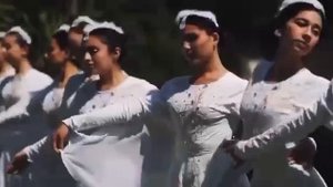 Песня «Журавли» на арабском языке